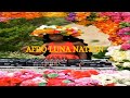 I Adore You | Afro House | Amapiano Naija | Afrobeat | Remix