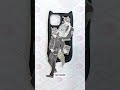 Uniquely You: Custom Epoxy Phone Cases for Every Personality