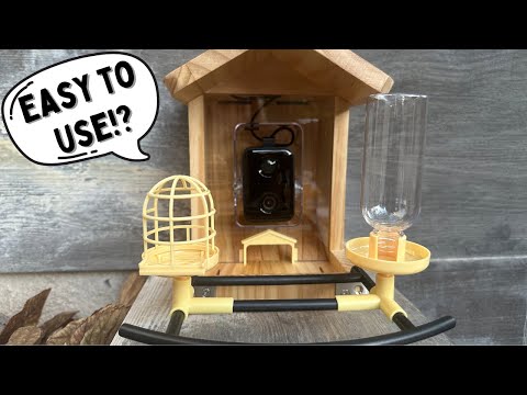 Birdlegend® Bl01 Comedero Inteligente Para Pajaros Con Camar | Cuotas Sin Interés
