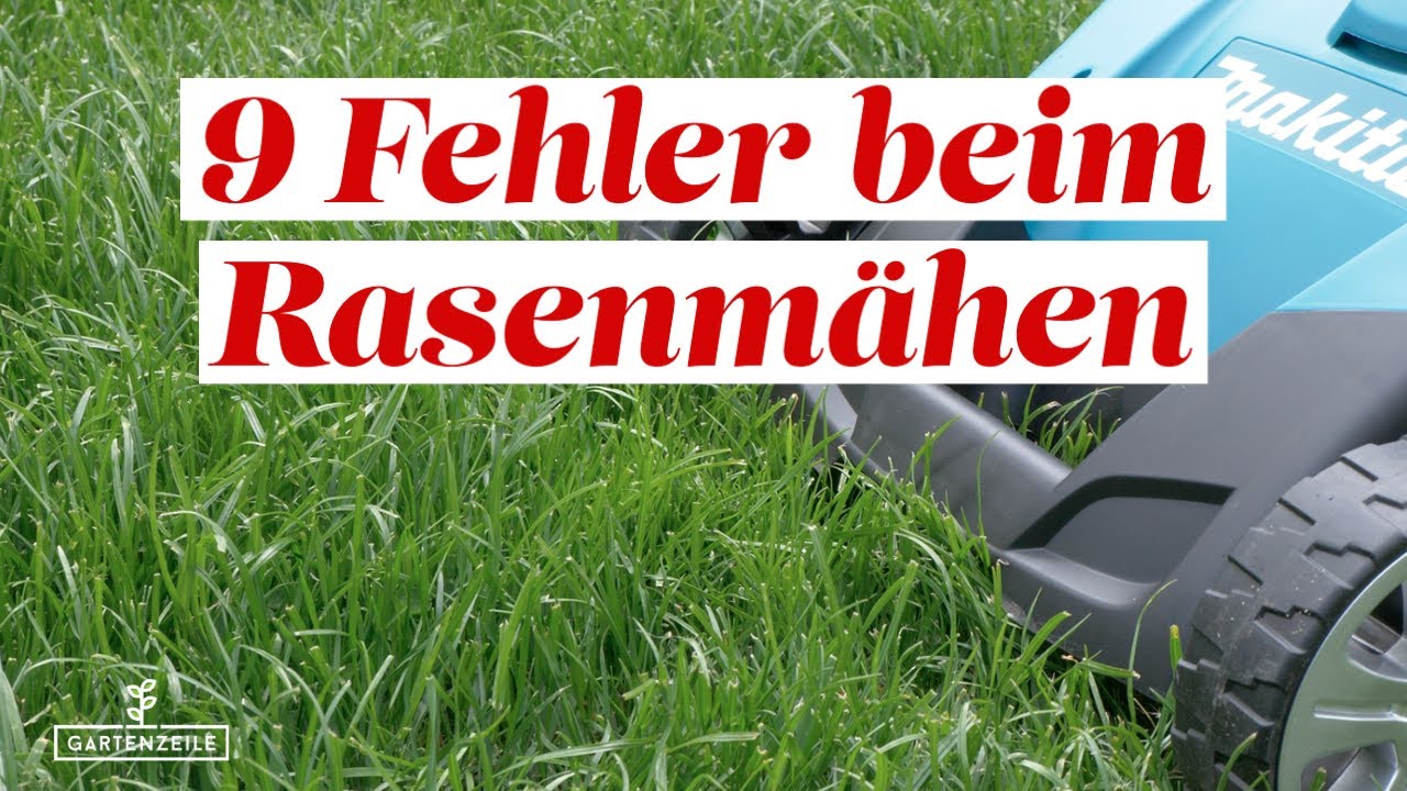 9 Fehler beim Rasenmähen die du unbedingt vermeiden solltest! - YouTube