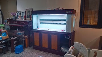 คุณ Home สาย 1 - งานระบบ Overflow Full Services ตู้ปลา 60 นิ้วกรองข้าง เพื่อเตรียมเลี้ยงปลามังกรแดง