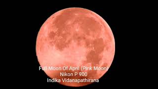 Pink Moon - Nikon P 900