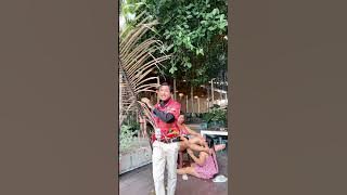 Haha-Thai Street Food