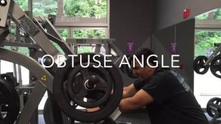 Gym Torque