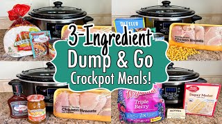 6 DUMP & GO CROCKPOT DINNERS | Tasty Quick & EASY 3-INGREDIENT Slow Cooker Meals | Julia Pacheco