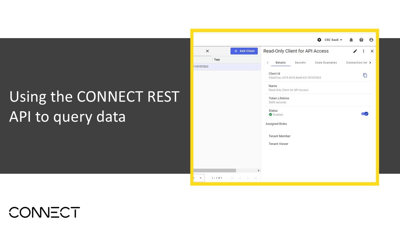 Using the CONNECT REST API to query data - YouTube