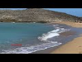 Pelícano pescando en playas de Puerto Rico 🇵🇷