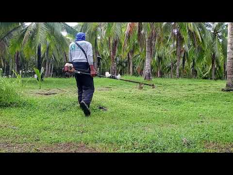 #Grasscutter#PaLa Farm #viral#trending