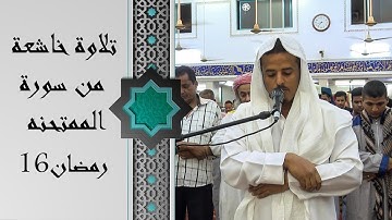 صلاة التراويح للقارئ | علاء شيخ | 16 رمضان 1442ه