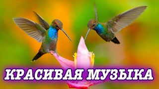 Шикарная музыка! Это лучшая музыка для души! Сергей Чекалин! Послушайте.. Самая красивая музыка