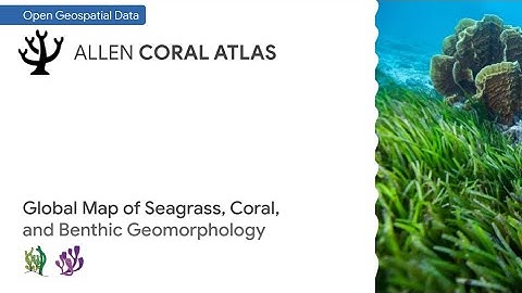 Open data: Global benthic habitat and bathymetry maps