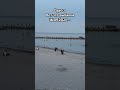 Клюет#рыбка#одесса#море#ukraine#рек#odessa#україна#рыбалка#осень#2025#жиза#shorts#рек