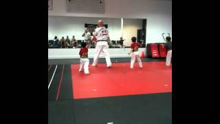 Leo Marlatt: Practicing his Tiny Tiger Form with Stephen Renney
