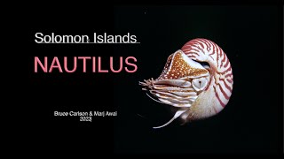 Nautilus:  Solomon Islands, 2023-24