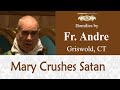 Mary's Power - Jan 31 - Homily - Fr Andre