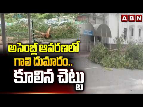 అసెంబ్లీ ఆవరణలో గాలి దుమారం.. కూలిన చెట్టు | Massive Peepal Tree Collapses In Assembly Premises - ABNTELUGUTV