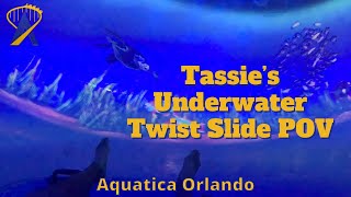 POV of Tassie's Underwater Twist waterslide at Aquatica Orlando