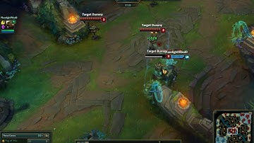 Illaoi - Test of Spirit Animation Cancel on Distant Target