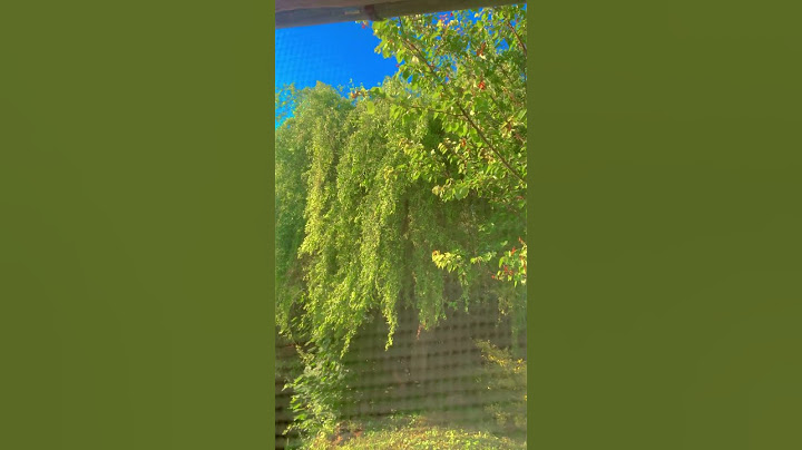 Pov: nevíš co udělat za video  #summer ~🦎