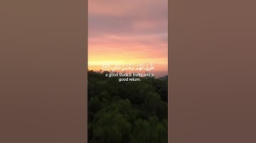 القرآن الكريم #quran #viral #video #shortvideo #viralvideo