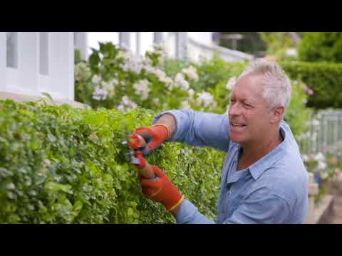 WOLF-Garten Ergonomic Secateurs, Loppers and Hedge Trimmers
