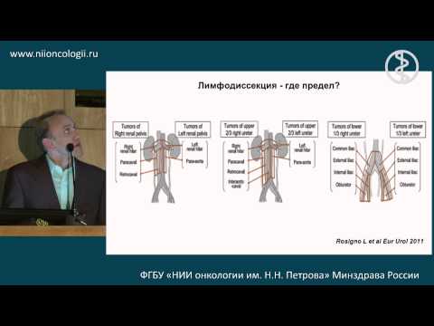 Рак почечной лоханки и мочеточника: распространенные формы