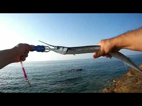 Light Rock Fishing