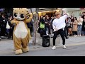 JHKTV]  shin chon special cat k pop dance & dancer park jun hwak bang bang bang 신촌명물고양이댄스와 박준학