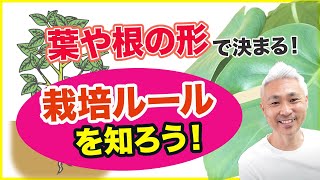 葉や根の形で決まる栽培ルールを知っておこう！