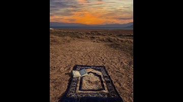 سوره الكافرون [109] تلاوة هادئة تريح القلب❤قرآن كريم❤بصوت جميل وهادئ جدا جدا /الشيخ عمر هشام العربي