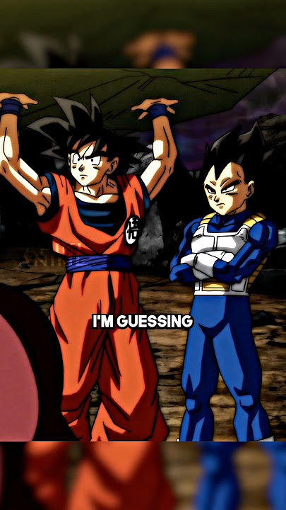 Goku & Vegeta Throw Rocks😂