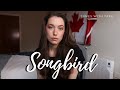 Medical Student Sings SONGBIRD | Tunes with Tara | Tara Jamieson Covers Eva Cassidy & Fleetwood Mac