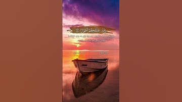 سورة نوح (اية ١٣-١٥) القارئ ياسر الدوسري