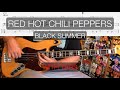 Black Summer // Red Hot Chili Peppers // Bass Cover with TABs