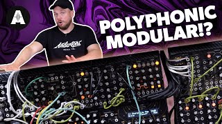 Jack's Actually Excited About Modular? - TipTop Audio!
