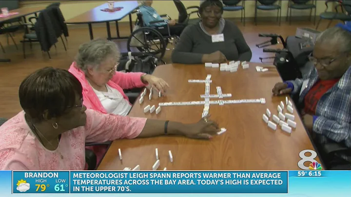 Program helps elderly maintain independence