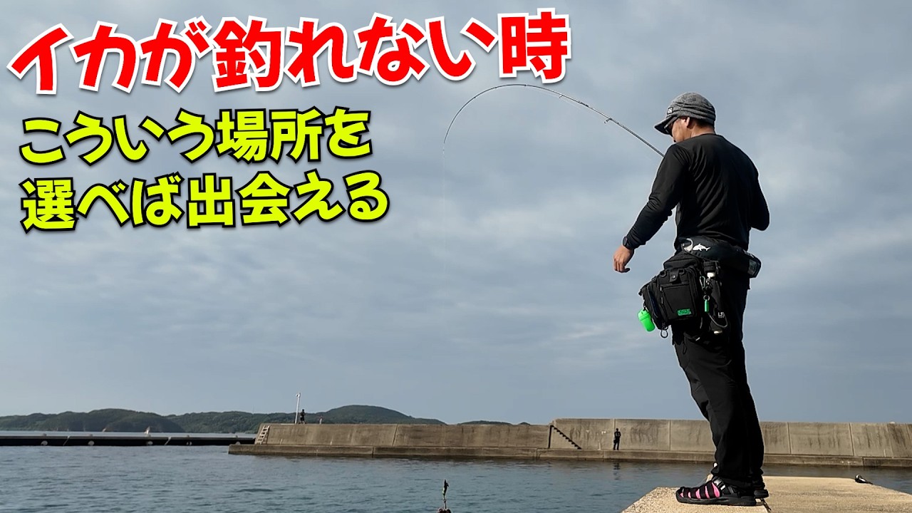 イカボウズ回避術！釣果0にしない為のエギング講座！とりあえず釣るん