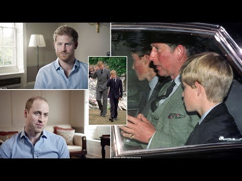 Prince William and Harry reveal reaction to Diana's death