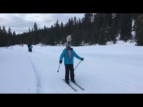 Video: Skivakansie In Swede