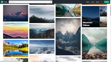 Pexels: One of the Best Free Stock Photo and Video Resources