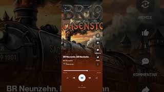 BR 19