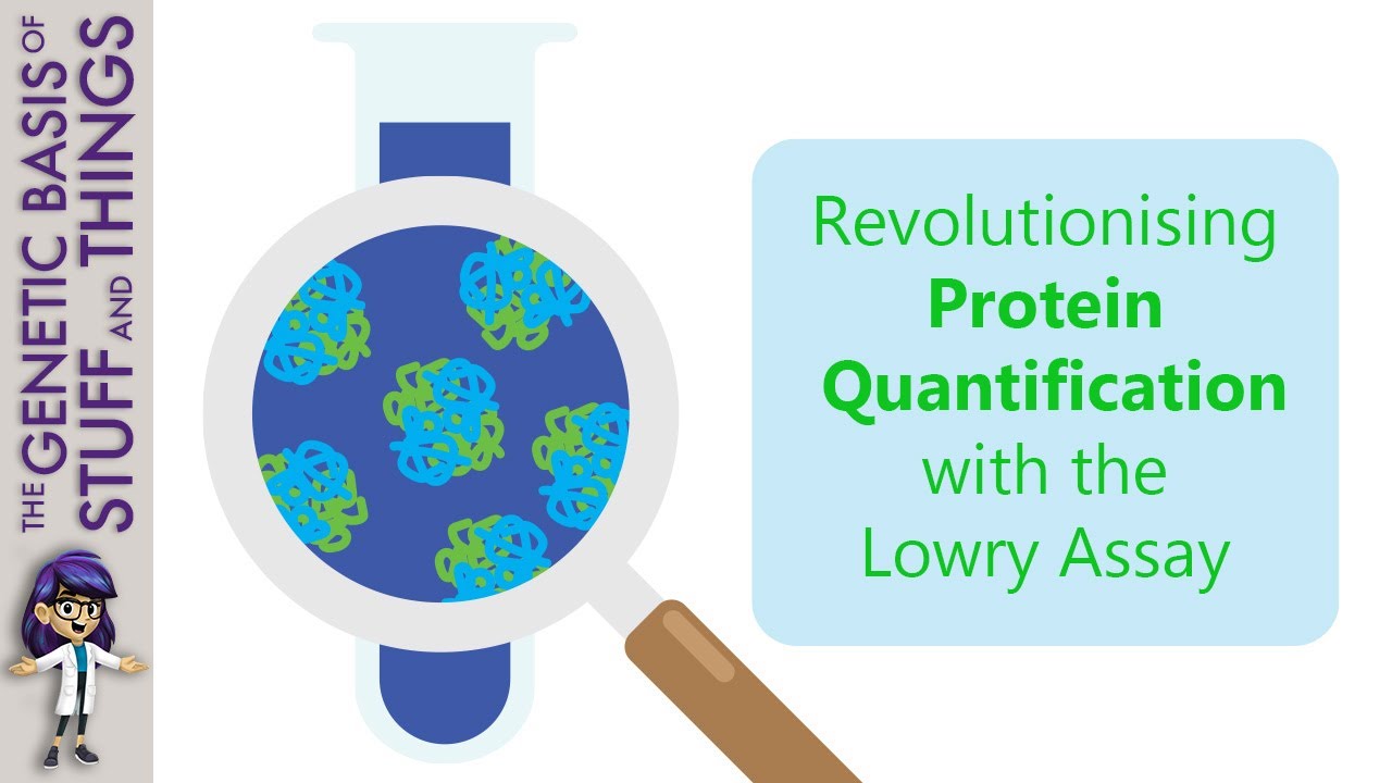 Looking into the logic and legacy of the Lowry assay