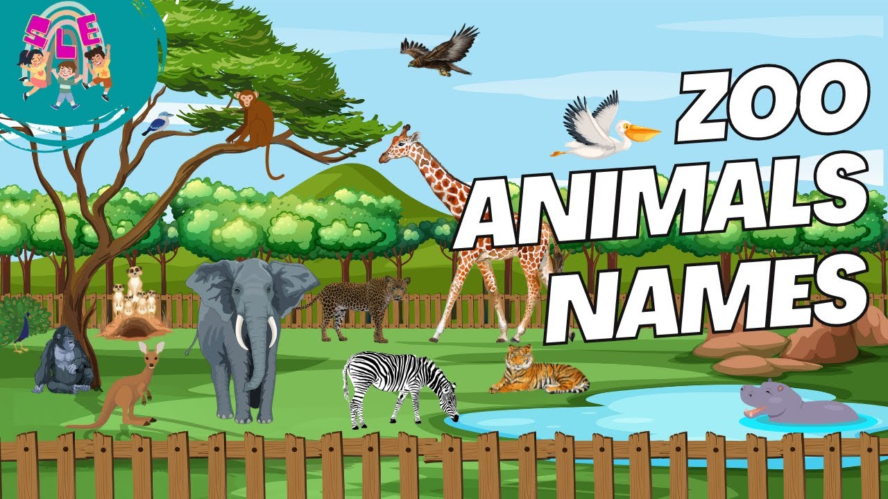 Zoo Animals Names for Kids Learning Educational Video for Kids