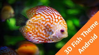 Apply 3D Fish Live Wallpaper On Your Android For Free ! - 9 Tech Tips screenshot 3