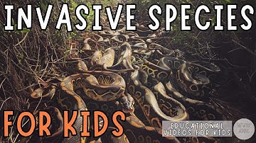 Invasive Species | Educational Videos for Kids | Wiz World Wonders
