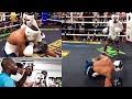 Gervonta Davis KNOCKDOWN a Welterweight Who tried to BULLY Tank in Sparring in Floyd Mayweather Gym