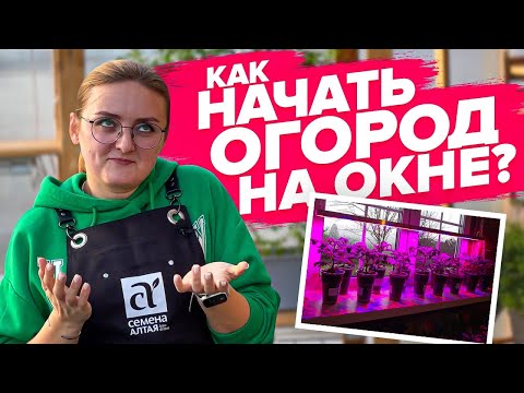 ПОСЕВ ОГУРЦОВ, ТОМАТОВ И РЕДИСА ДЛЯ КВАРТИРЫ! Огород на окне