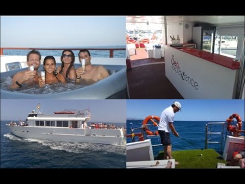 Tourist Passenger Boat For Sale(SOLD)