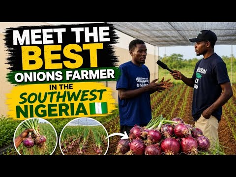 MEET THE BEST ONION FARMER IN THE SOUTHWEST NIGERIA! //Secrets Behind His Massive Success.