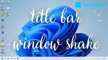 How To Enable or Disable Title Bar Window Shake In Windows 11